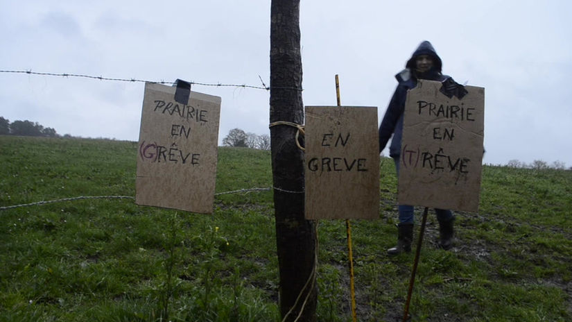 Prairie - 54_en greve